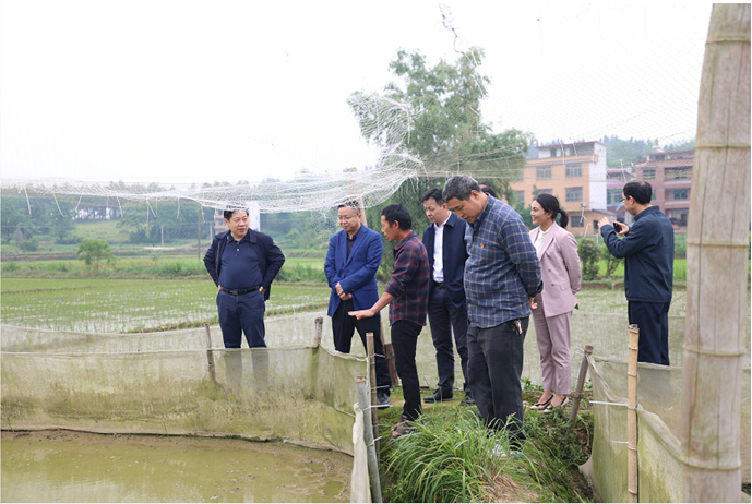 海利集團,長沙殺蟲劑,長沙光氣衍生物,長沙氨基酸保護(hù)劑,長沙鋰離子電池材料