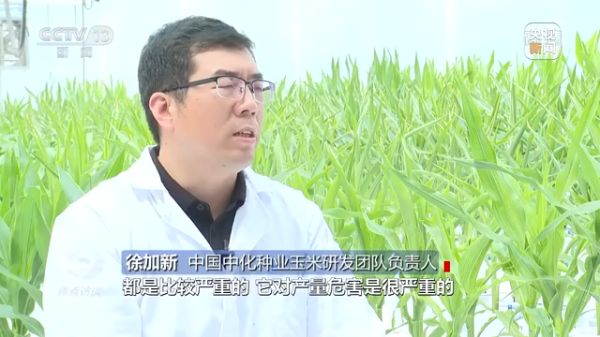 海利集團(tuán),長沙殺蟲劑,長沙光氣衍生物,長沙氨基酸保護(hù)劑,長沙鋰離子電池材料