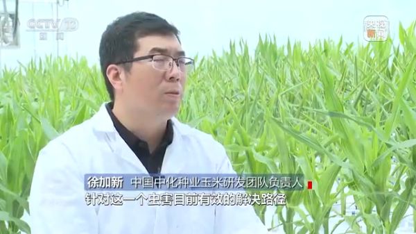 海利集團(tuán),長沙殺蟲劑,長沙光氣衍生物,長沙氨基酸保護(hù)劑,長沙鋰離子電池材料